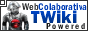 TWiki -\ Ambiente Web Colaborativo